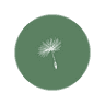 One Body Chiropractic