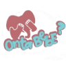 Onta Bebé Pañalera