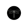 Opalescence Salon