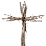 Open Range Fellowship