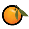 Orange Grove Veterinary Clinic