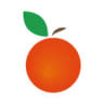 orangemedia.de GmbH & Co. KG