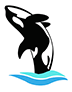 Orca Physiotherapy