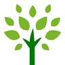 Orchard Street Settlements LLC