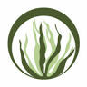 Organic Elements Wellness Spa