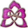 Orchid universe - online shop