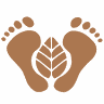 Oriental Foot Reflexology, Inc.