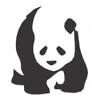 Panda Ortopediya Travmatologiya Klinika