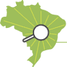 Observatório Social do Brasil - Pará de Minas