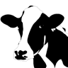 Outagamie County Fair