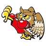 Owl Sports Gym
