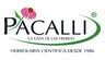 Pacalli Plaza Cuernavaca