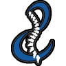 Pain and Wellness Institute of Texas