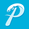 Palmer Pool Sales