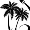 Palm Shores RV Park