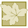 Palstone Lodges