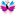 Panchhi
