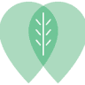 Panther Creek Dental - Frisco