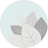 Papalina