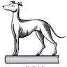 The Paper Hound Bookshop