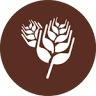 PappaRoti Naperville