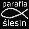 Parafia św. Mikołaja Biskupa i Dobrego Pasterza w Ślesinie