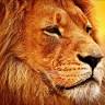 Paramount trekking&safaris