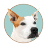 Parker's Animal Rescue