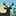 Audie Flowage-Perch Lake Campground
