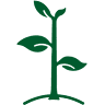 Park Seed Wholesale