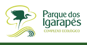 Parque dos Igarapés