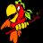 Parrots N Stuff