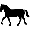Pennsylvania Riding Academy