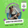 Paw Boutique Pet Shop