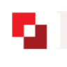 Paradigm Services