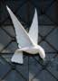 United Methodist Church-Peace