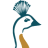 Peacock Auto Service