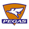 Pegascard
