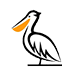 The Big Pelican