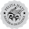 Pelita Hati School