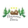Pensiunea Baciu
