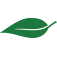 Green Guesthouse
