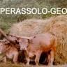 Geom. GIANFRANCO PERASSOLO