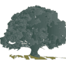 Pereboom Hypotheken & Verzekeringen