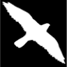 Peregrine Plumbing