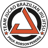MMA Academy - Pereira BJJ Reading