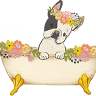Perfect Paws Pet Grooming