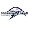 Perfect Storm Comics and Games