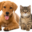 Perry County Animal Hospital