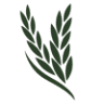 Persia Foods Produce Markets